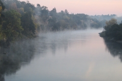 mist bluff dec