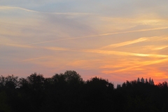 sunriselines-dec