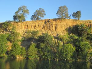 Fair Oaks, Fair Oaks Bluffs, American River, American River Parkway, Fair Oaks Bridge, bridge, water, Sacramento, Jewel of the Parkway