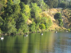 fishing boats, boats, Chinook salmon, Fair Oaks Bridge, Fair Oaks, American River