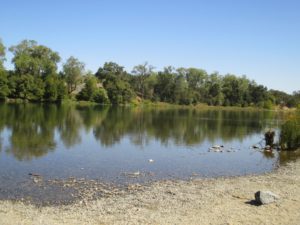 sand, American River, Fair Oaks, rooster, morning, Fair Oaks Bridge