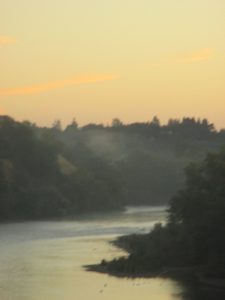 American River, sunrise, mist, morning, wildlife, Great Blue Heron, Canada Geese