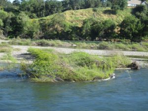 American River, flood