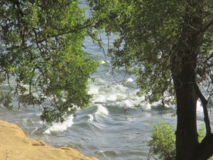 waterfowl, American River, San Juan Rapids, American River Parkway, Memorial Day, rafters, 