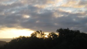 sunrise, mornings, Fair Oaks Bridge, American River, American River Parkway, nature, writing, wildlife, walkers