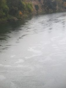 soft landscapes, morning, rain, Fair Oaks Bridge, American River, Fair Oaks, nature, outdoor writing,