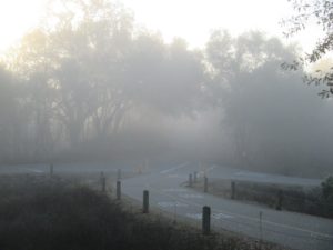 Fair Oaks Bridge, dense fog, American River Parkway, American River, mornings, 