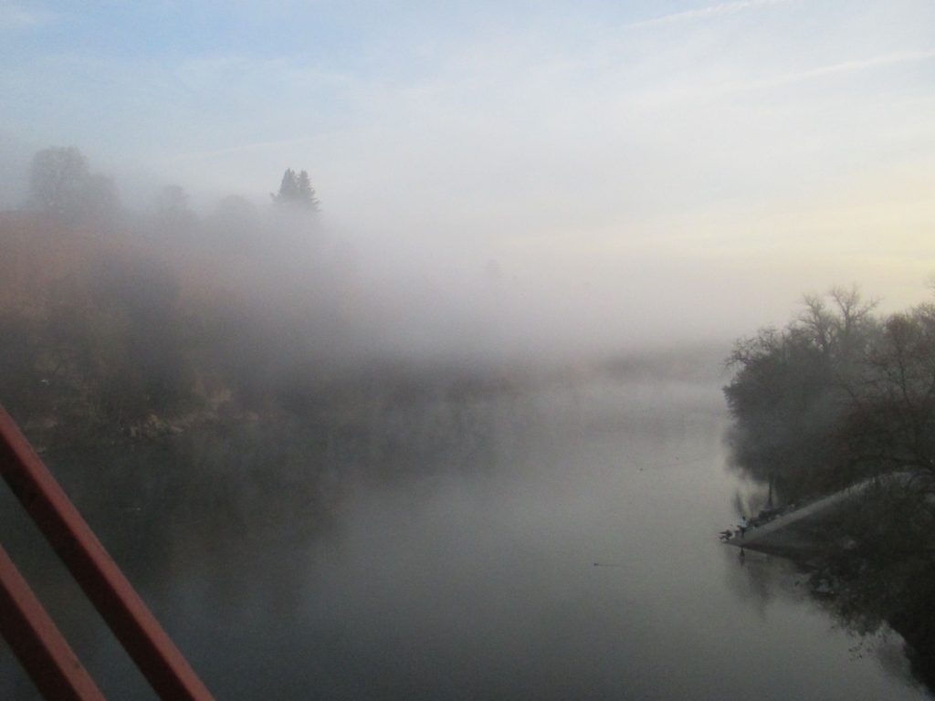 gift, American river, Fair Oaks Bridge, Fair Oaks Bluffs, morning, fog, seagulls, wildlife, mornings