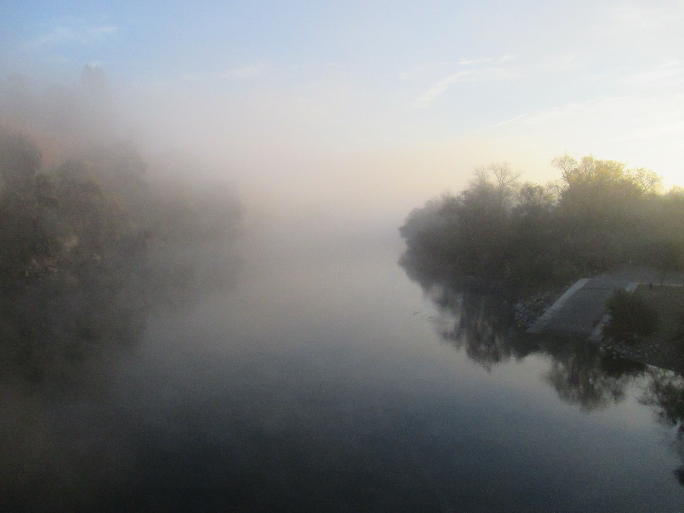 mist, foggy, fog, mornings, Fair Oaks Bridge, Fair Oaks, American River, walk, jog, trees, water