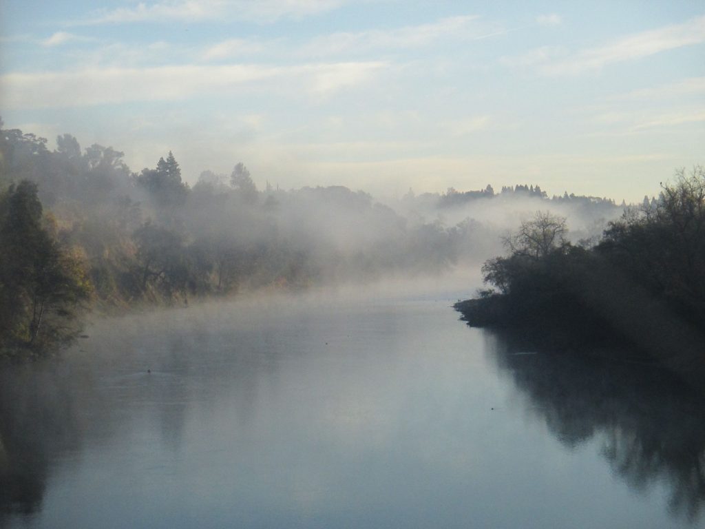 Fair Oaks Bridge, mornings, riverbank, American River, dense fog