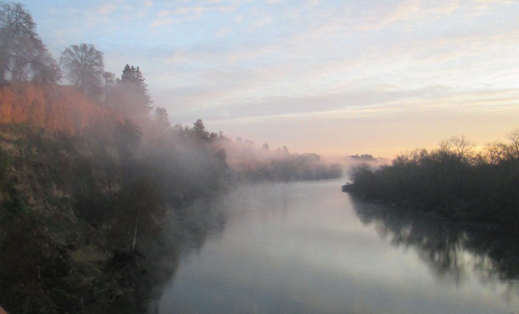 mornings, fog, chill, Fair Oaks Bridge, Fair Oaks Bluffs, American River, nature, writing, seagull, wildlife, chill