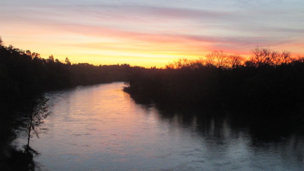 sunrise, Fair Oaks Bridge, morning, American River, shadows. frogs, Canada Geese, chickens, ducks, swim, splash