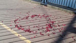 heart, Fair Oaks Bridge, deck mornings, roses