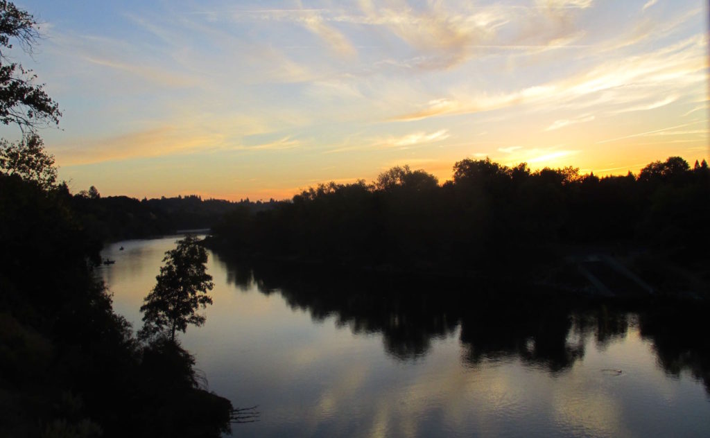 mornings, Fair Oaks Bridge, American River, American River Parkway, mornings, water, wildlife, nature, writing,