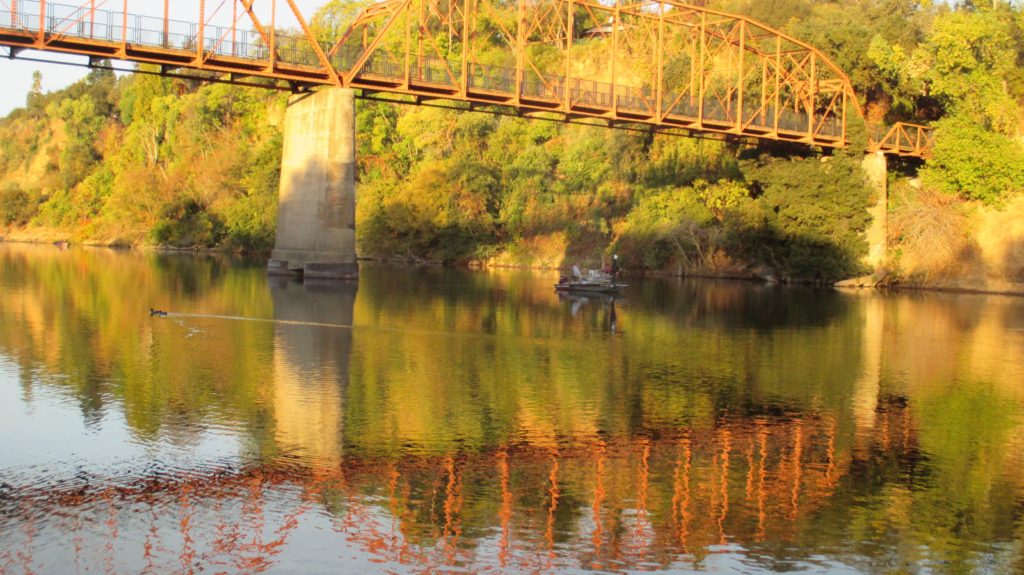 Fair Oaks Bridge, Fair Oaks, American River, mornings, river, wildlife, water, ducks, fishermen, boats,