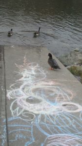 chalk art, boat launch ramp, mornings, Fair Oaks Bridge, American River