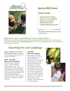 newsletter, Nature Detectives, skills , lost ladybug, inquiry based learning, nature, outdoors